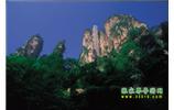 網(wǎng)絡(luò)熱門純玩游：張家界、天子山、袁家界、楊家界 自助三日游