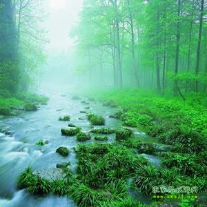 【純玩散拼尊享系列3】張家界、天子山、袁家界、黃龍洞、鳳凰三晚四日游