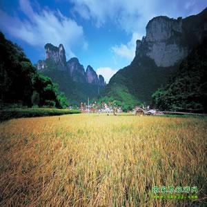 張家界往返純玩散拼：矮寨大橋、德夯苗寨、鳳凰古城、芙蓉鎮(zhèn)二日游