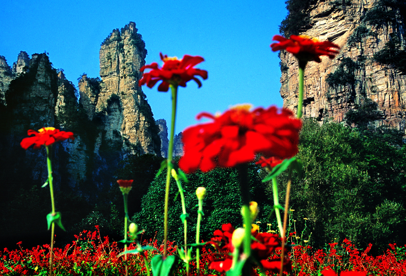 LF線：張家界國(guó)家森林公園、猛洞河漂流、鳳凰古城純玩自助五日游